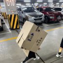 밀양댐오토캠핑장 | 41: 경남 김해근교 반려동물 동반 가능한, 밀양댐오토캠핑장 할로윈캠핑 다녀왔어요!