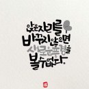 도미라 이미지
