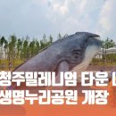 꿈꾸는공간 이미지