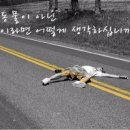 대전애견경매장 이미지