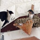 새청주주유소 이미지