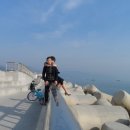 오동도로 이미지