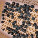 노천농장 이미지