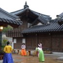 나무와흙 이미지