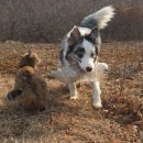 정아몰
