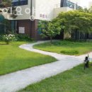 진인노인요양원 이미지