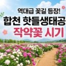 핫들 티스토리