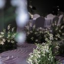 아바니센트럴 부산 이미지