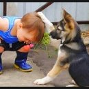 도풀이네 이미지