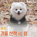 옹기골근린공원 이미지
