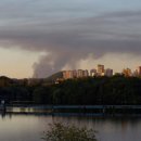 (주)미래생명자원 이미지