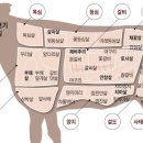 소화지
