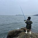 바오마루 | 태안여행 신두리 바오마루스테이 민어도, 구례포 낚시, 해루질