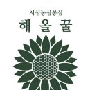 해올 이미지