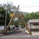 월악산국립공원 닷돈재자동차야영장 이미지