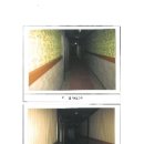 송정동 446-4 이미지