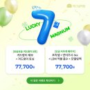 매그넘의원 이미지