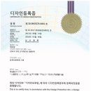 노블캣