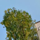 원진어린이집 이미지