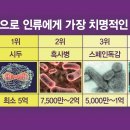 세계문화 이야기 이미지