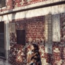 (유)성미 이미지