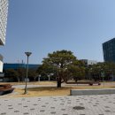 카이스트 이미지