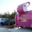 영덕고래불국민야영장 이미지