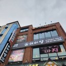 더미양 이미지
