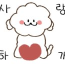 미드나잇의원 이미지