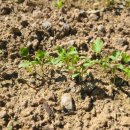 송추요양병원 이미지