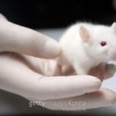 박동물병원 이미지