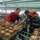 박현수농장 이미지