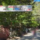 우이령 | 2024 1026 북한산우이령길 단풍 현황 우이령단풍나들이 후기