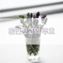 변호사김은성법률사무소 이미지