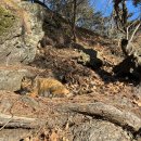 효행로 1L(2->종점) | 15. 광청종주