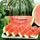 번개농장 이미지