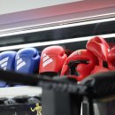 펀치라인복싱 이미지