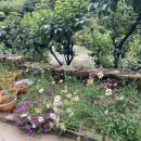 농원민박 이미지