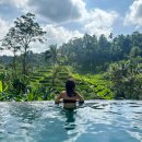 리버티스 | 30 개월 아이랑 발리 우붓 티스카페(Tis Cafe) 수영장 이용하기(뜨갈랄랑 논뷰, 그물 포토존, 스윙,가격...