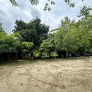 주목나무집 이미지