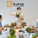 아젤리아 이미지