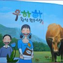횡성 이미지