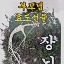 대화할인마트 이미지