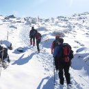 (1/12~13) 제주도 한라산 눈꽃산행에 초대합니다 이미지