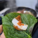 고흥집 | 부산 여행 노포에서 즐기는 자갈치시장 야장 맛집 고흥집 선지국 돼지껍데기 후기