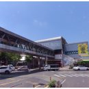 하양꿈바우시장 | 6시내고향 하양꿈바우시장 참가자미 찌개 회무침