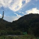 01-19 동구 이미지