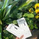 호텔자유1 | 오사카 자유여행 1일차 일정 ✈️ 웰리나호텔 후기 + 야키니쿠 맛집 추천