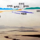 도요등(철새등) 티스토리