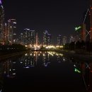 민들레 행정사 이미지